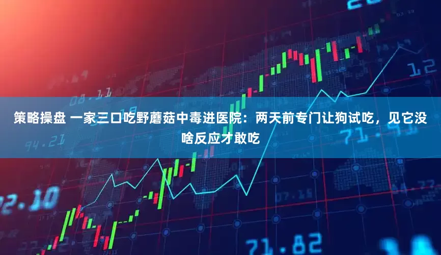 策略操盘 一家三口吃野蘑菇中毒进医院：两天前专门让狗试吃，见它没啥反应才敢吃